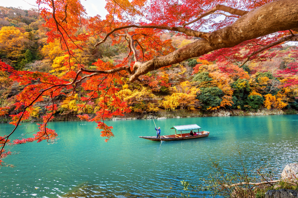 Lý do bạn nên đi du lịch Nhật Bản vào mùa thu